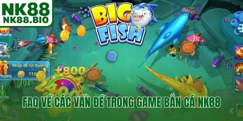 FAQ về các vấn đề trong game bắn cá NK88