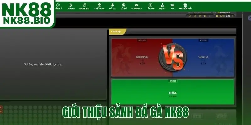 Giới thiệu sảnh đá gà NK88 - điểm hẹn lý tưởng cho sư kê