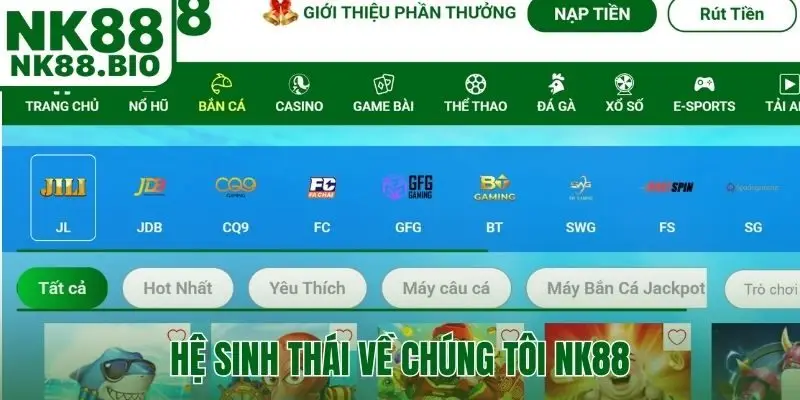 Cấu trúc sản phẩm dịch vụ trong hệ sinh thái về chúng tôi NK88