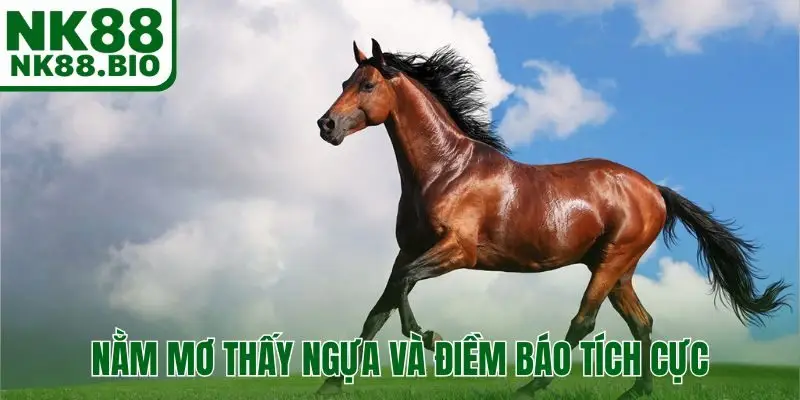 Nằm mơ thấy ngựa và điềm báo tích cực